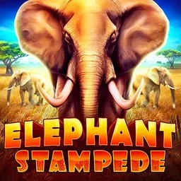 Elephant Stampede